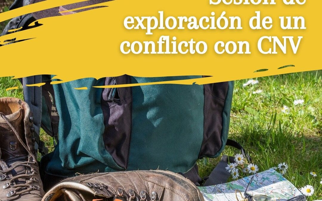 Taller Online Resolución de Conflictos con CNV