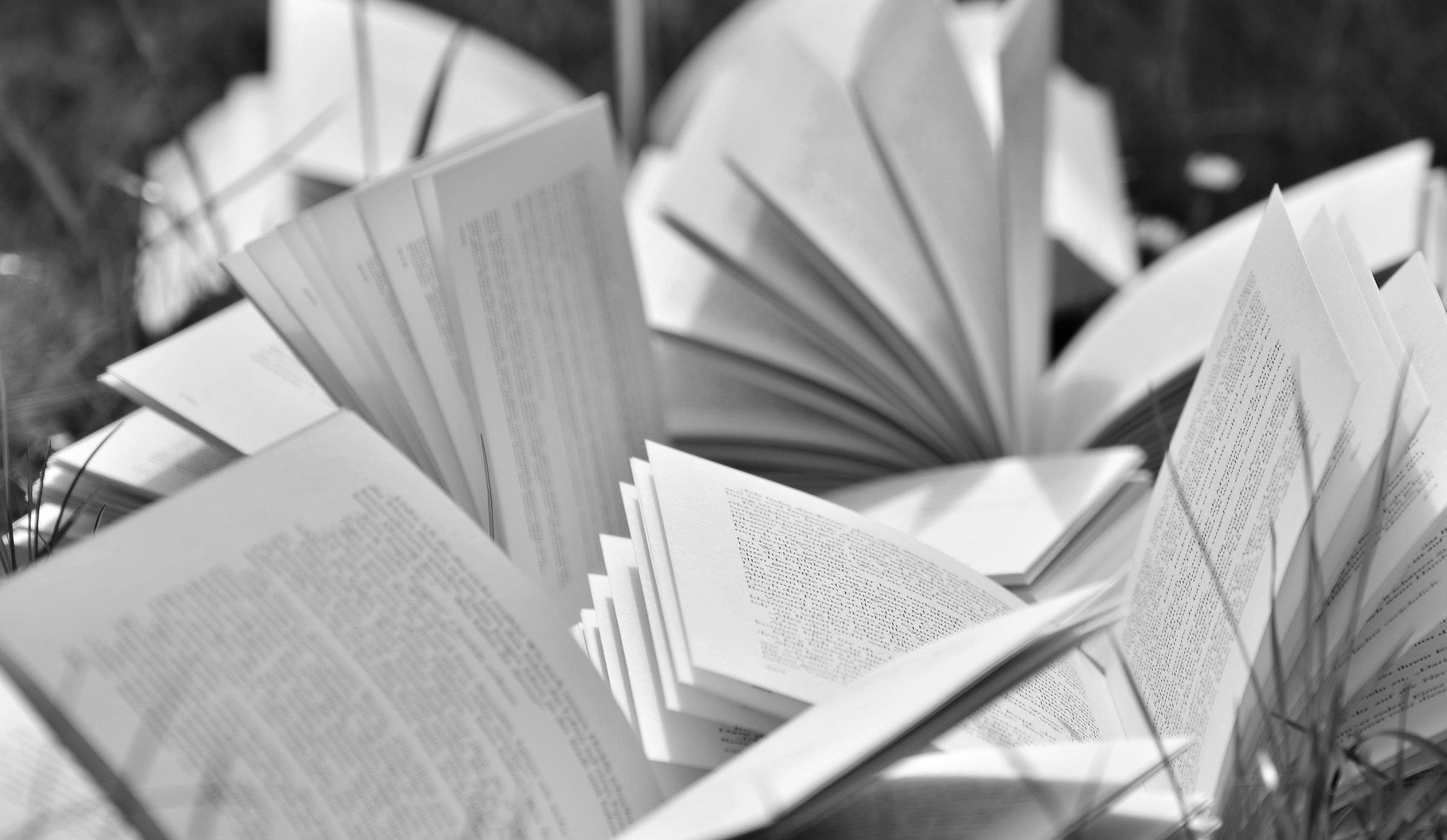 books-2241635_1920