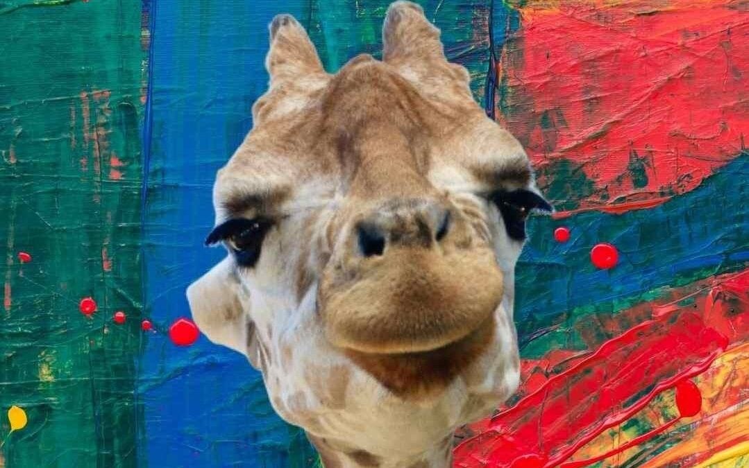 Primer plano de la cara de una jirafa sobre un fondo abstracto y vibrante con pinceladas rojas, azules, verdes y amarillas.