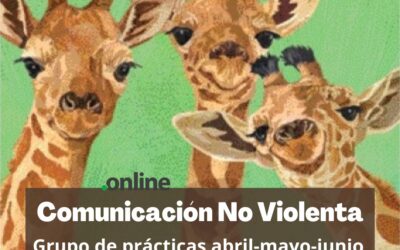 Grupo de prácticas CNV online
