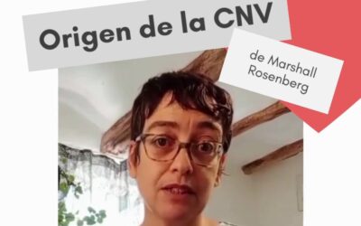 Píldora 1: Origen de la CNV