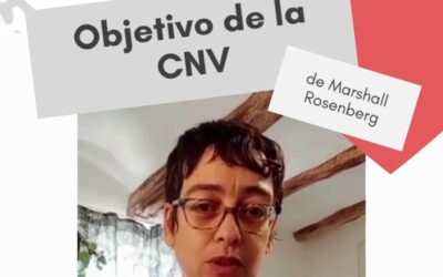 Píldora 2: Objetivo de la CNV