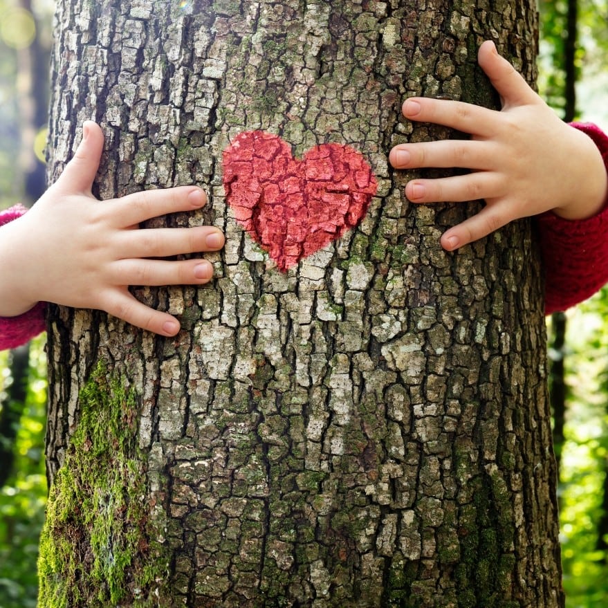 Una persona abraza un árbol con un corazón rojo pintado en su corteza, con ambas manos visibles alrededor del tronco en un entorno forestal.