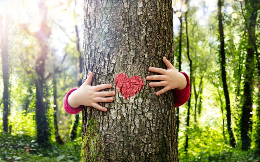 De la reacción a la conexión: al encuentro de una comunicación consciente