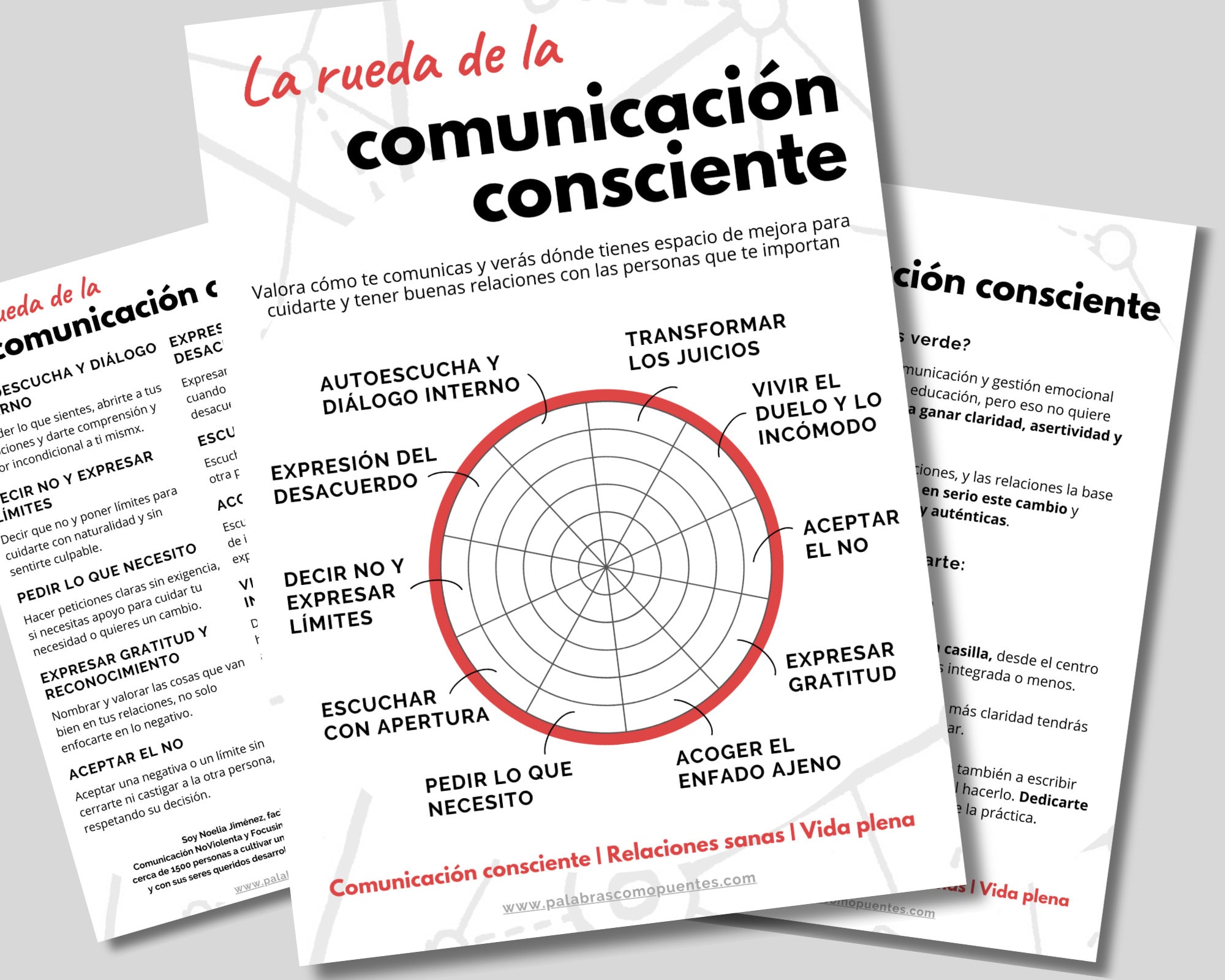 Un grupo de papeles con texto.