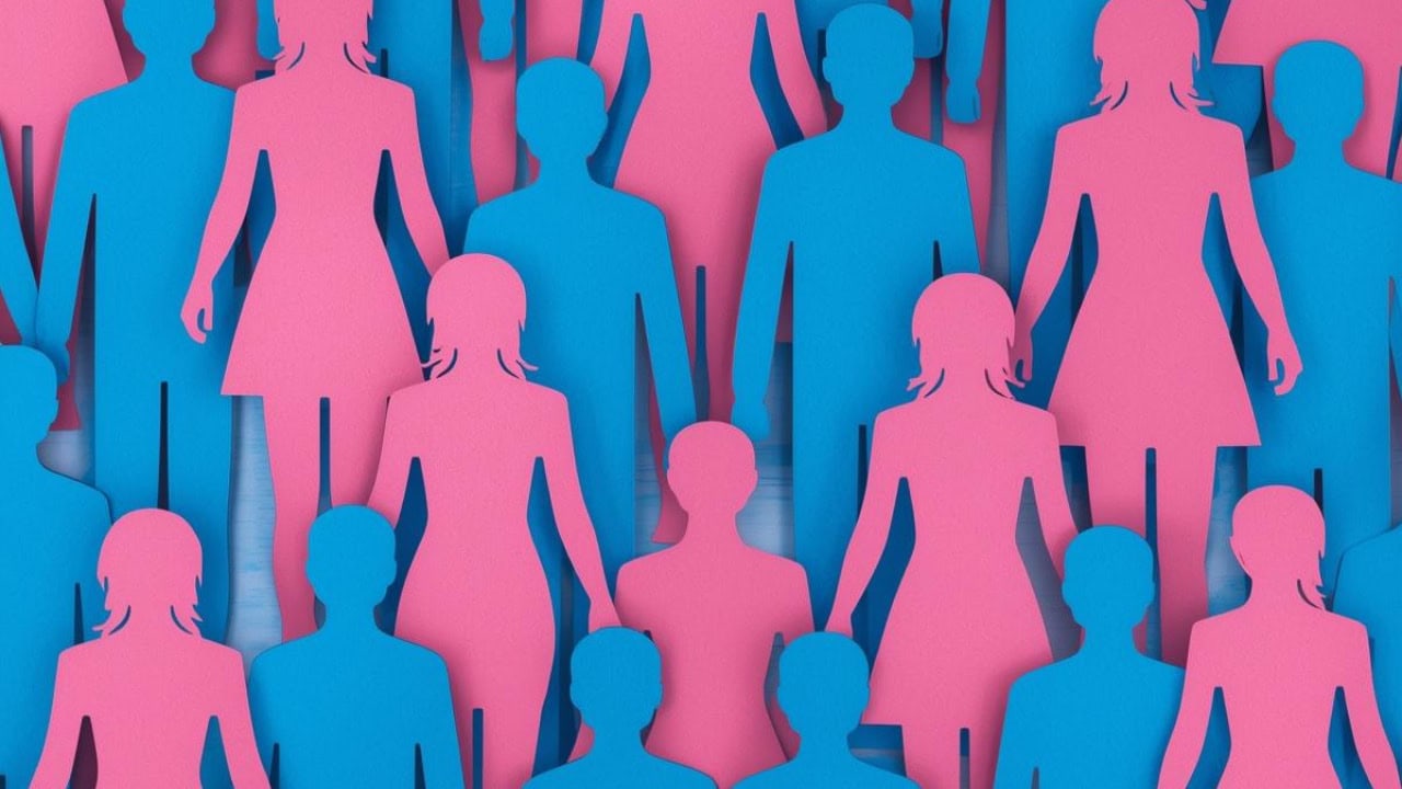 Siluetas recortadas de personas en rosa y azul, con algunas figuras que parecen masculinas y otras femeninas, dispuestas en un patrón superpuesto.