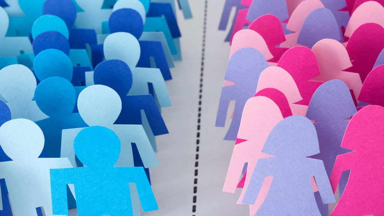 Recortes de papel de figuras en tonos azules y figuras en tonos rosas están separados por una línea discontinua, que representa la división por sexos.